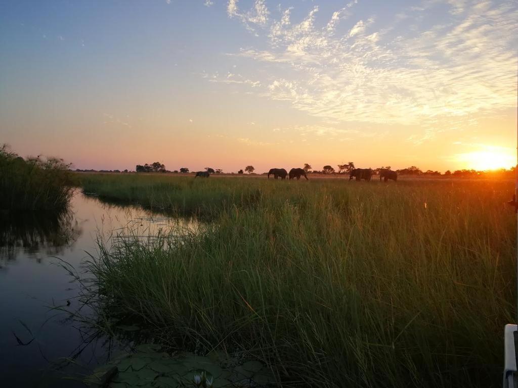 Kazondwe Camp And Lodge Kongola Экстерьер фото